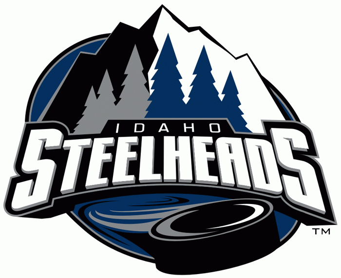 Idaho Steelheads 2006 07-2010 11 Primary Logo iron on paper